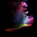 rainbow8