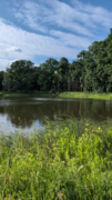 Ovocova