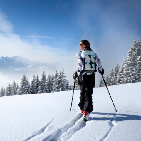 100km nordic wolking