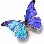 qwert.sabina