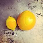 cytrumalinka6