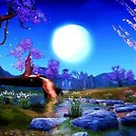 tolunia1