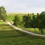NieNitka