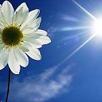 cloudless.sky