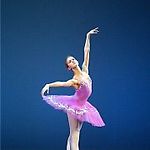 butterfly.dancer