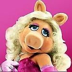 Piggy91