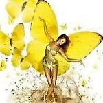 MusingButterfly