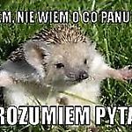 niewieminiewiem