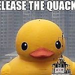 gumowa_kaczuszka