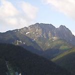 dlaWiktori