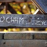 Kiciak429