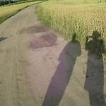 kasiula__