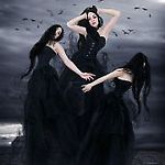 blackbeauty