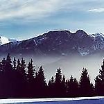 szalenienienormalna