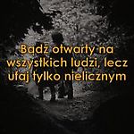 wiewiorka4