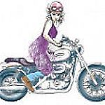 motoAnula
