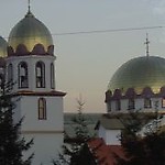 ogrodniczka65