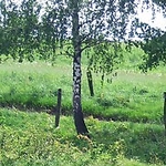 Cadillaczek