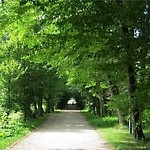 83Kasia83