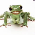 agaponet.com.pl2014