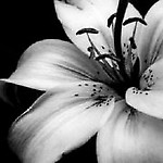 Sylwia_25