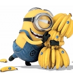 maggma