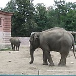 Ewelina82kg