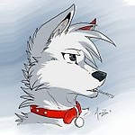 SheWolf.