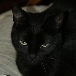 Czary_Mary