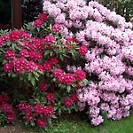 AnnaW58