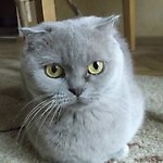 Ania565