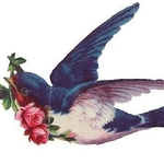 Ziraell