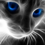 ola.wiecz74