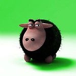 Black0wca