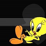 twitek