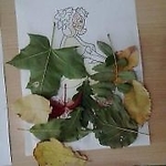 cukierek1981