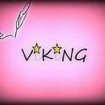 ViKiNG.