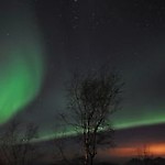 skandynawski_sen