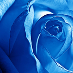 MaradicaBlue