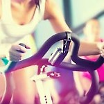 MsFit