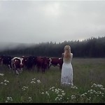 somnifere