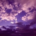 PurpleCloud