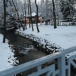 dzikibez