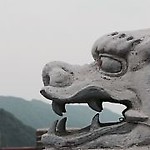 Isana85