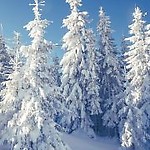 Kopciuszek.