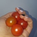 Alegzi