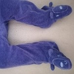 AnkaNP