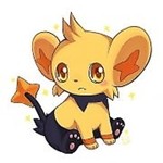 Shinx