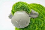 .Sheep