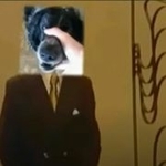 trolololololol